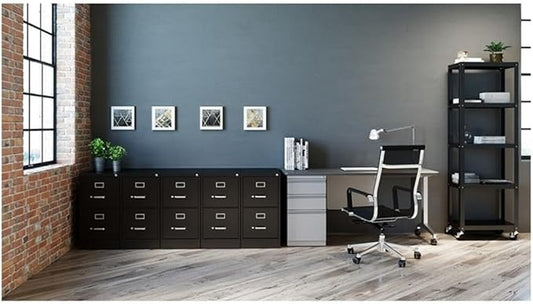 Pemberly Row 2 Drawers 28.38" Vertical Black Metal Filing Cabinet Lockable Pre-Assembled Stationary Letter Size for Home, Office