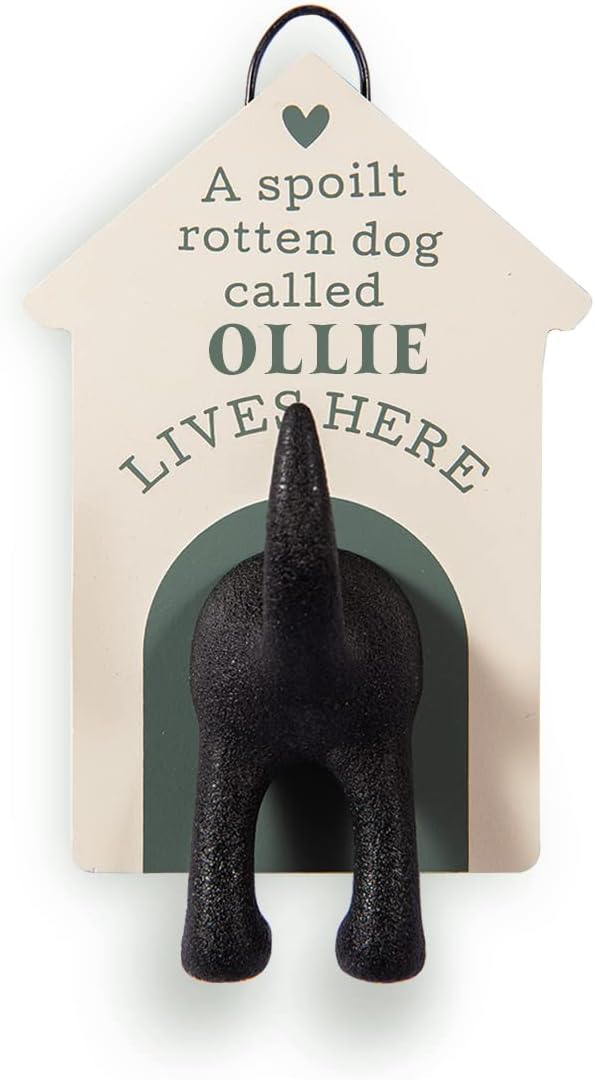 Personalised Dog Lead Hook (Ollie)