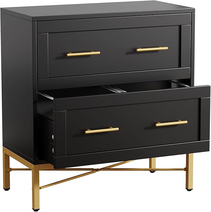 Tribesigns 2 Drawer File Cabinet, Modern Wood Lateral Filing Cabinet for Letter/Legal/A4 Size, Large File Storage Cabinets Printer Stand with Storage for Home Office, Black and Gold