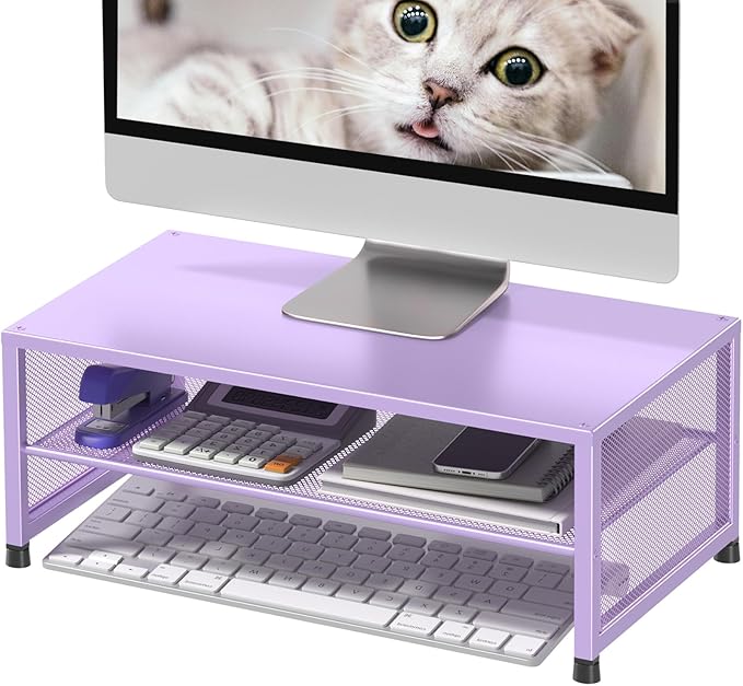 2-Tier Computer Monitor Stand Riser, Desk Organizer for Monitor, Printer & Laptop Stand, Desktop Workspace Organizers for Office Supplies(Purple)