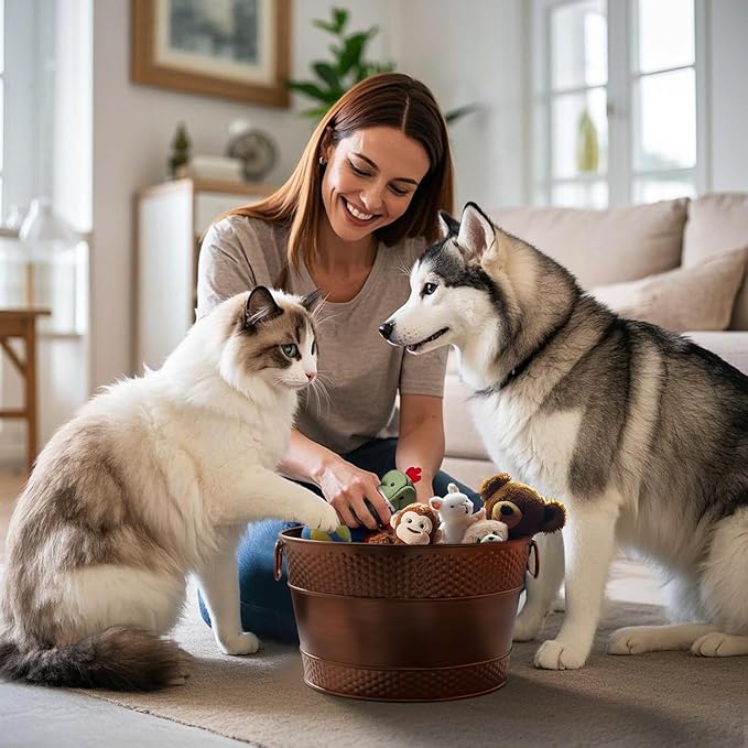 Indestructible Metal Dog Toy Bin: Pet Toy Box Storage Basket for Living Room Area, Beautiful Design and Perfect Size 15-Quart (1 Pack, Round)
