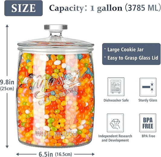 Folinstall 1 Gallon Glass Cookie Jar, Large Glass Jar with Airtight lid, Glass Food Storage Container for Cookies, Candy, Flour, Dog Treats, Coffee, Laundry Room Storage & Pantry