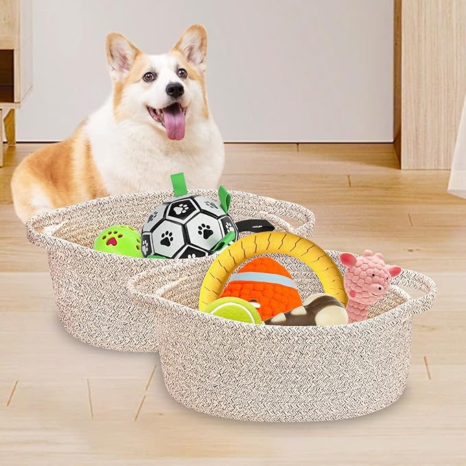 ABenkle Small Woven Easter Basket with Handle, 12x8x5 inches, Durable Storage Basket, Gift Wrap Ready with Ribbon