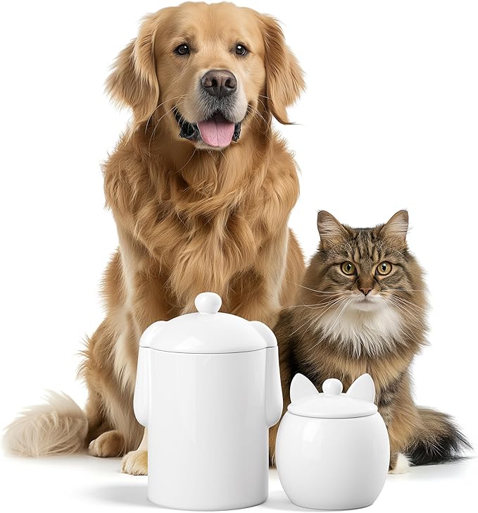 Barnyard Designs Cat Treat Container – Airtight Ceramic Treat Jar with Lid, Large White Pet Treat Canister for Kitchen Counter (Cat)