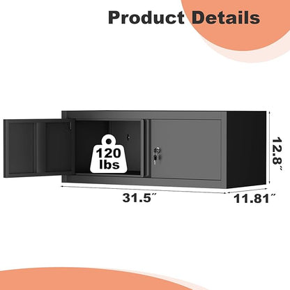 LUCYPAL Garage Storage Cabinet,Metal Wall Cabinet with Locking Doors,12.8''H Metal Storage Cabinets for Home Office,Warehouse,Garage,Basement,Black