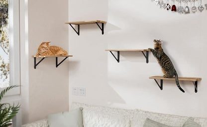 4x3 Shelf Brackets 6-Pack, Shelf Support Shelf Holder Steel Wall Mount Heavy Duty Small L Shape Triangle 90 Degree Metal Black with Screws Anchors Soporte de Estante