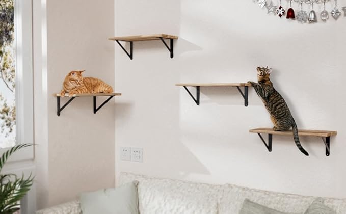 6x4.5 Shelf Brackets 2-Pack, Shelf Support Shelf Holder Steel Wall Mount Heavy Duty Small L Shape Triangle 90 Degree Metal Black with Screws Anchors Soporte de Estante