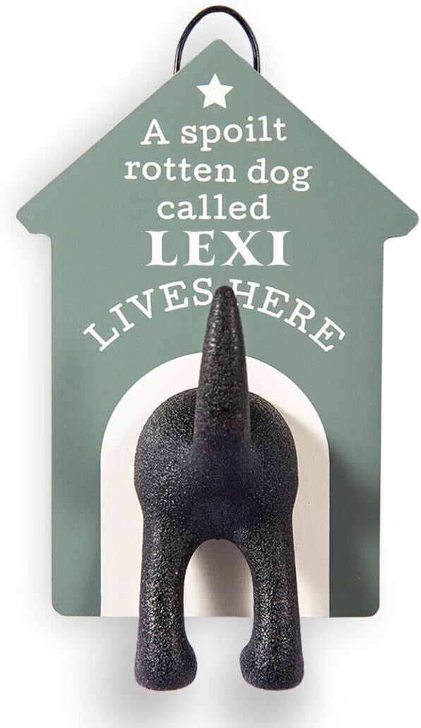 History & Heraldry Personalised Dog Lead Hook (Lexi)