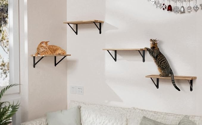 6.7x4.7 Shelf Brackets 6-Pack, Shelf Support Shelf Holder Steel Wall Mount Heavy Duty Small L Shape Triangle 90 Degree Metal Black with Screws Anchors Soporte de Estante
