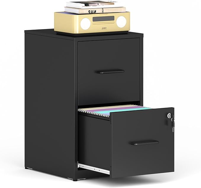 2 Drawer File Cabinet with Lock, Vertical Filing Cabinet for Home Office, Heavy Duty Storage Cabinet for Letter Size, Assembly Required(Black)