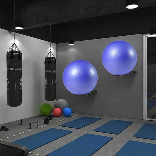 Medicine Ball Rack - Wall Mount Stability Ball Storage Rack(2 Black)
