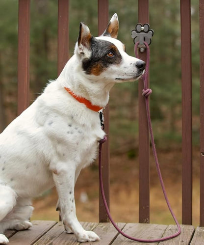 Dog Leash Hitch Parking Hook Medium Duty Wall-Mount Stainless Steel Dog Tie Out - Leash Holder for Wall - Mounting Hardware Kit Included (3” x 4”)