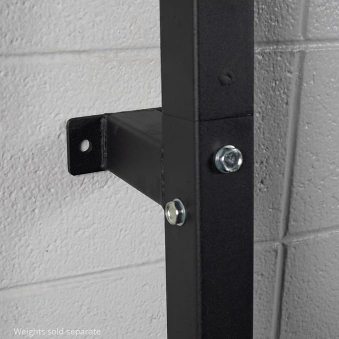 Titan Fitness Weight Plate Wall Mounted Storage Rack, Angled 4-Peg Design, Olympic Sized Weight Plate Organizer, Rated 800 LB, Anchored Wall Mounted Storage