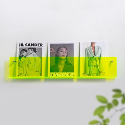 ROYALITA 2-Pack Acrylic Magazine Holder Brochure Holder, 24" Record Holder Magazine Rack, Fashion Hanging Bookshelf Literature Storage Rack for Waiting Room, Living Room, Office, Green 24 Inch