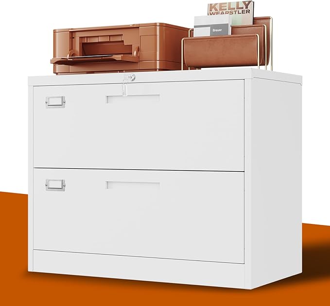 2 Drawer Lateral File Cabinet Metal Filing Storage Cabinet with Lock Office Home Steel File Cabinet for A4 Legal/Letter Size File Cabinet Locked,Assembly Required (2 Drawer, White)