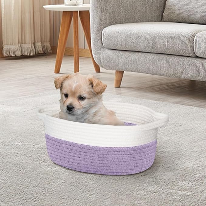 Woven Cotton Rope Gift Basket, Small Baskets for Gifts Empty, Cute Baby Nursery Basket, Pet Toy Storage Bin for Dog Cat, Decorative Wicker Home Organizer with Handles, 12"x 8"x 5", Purple