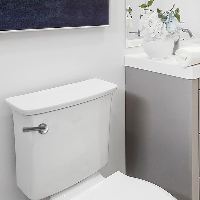 Korky 6054BP StrongARM Tank Lever Universal to Fit Front Angled Side Left and Right Mount Toilets, Chrome, Simple Style