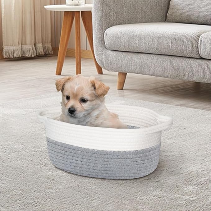 Small Dog Toy Basket, Woven Cotton Rope Storage Box for Cat Dog, Pet Baby Nursery Organizer, Empty Baskets for Gifts, Wicker Basket with Handles, Cute Shelf Bin for Decor, 12"x 8"x 5", Gray