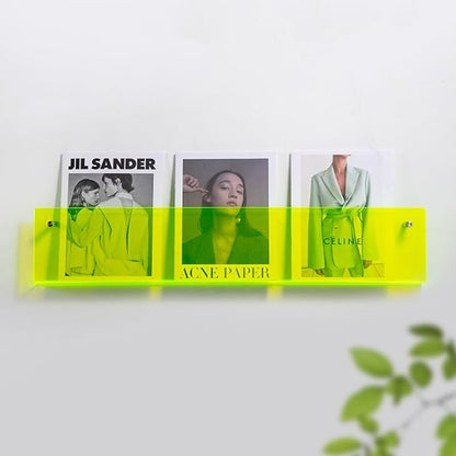 ROYALITA 2-Pack Acrylic Magazine Holder Brochure Holder, 17" Record Holder Magazine Rack, Fashion Hanging Bookshelf Literature Storage Rack for Waiting Room, Living Room, Office, Green 17 Inch