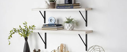 12 Pack L22 x H 12" Black Heavy Duty Shelf Brackets with Screws Metal Shelf Brackets Shelf Support Angle Brackets for Shelves L Brackets Heavy Duty Floating Shelf