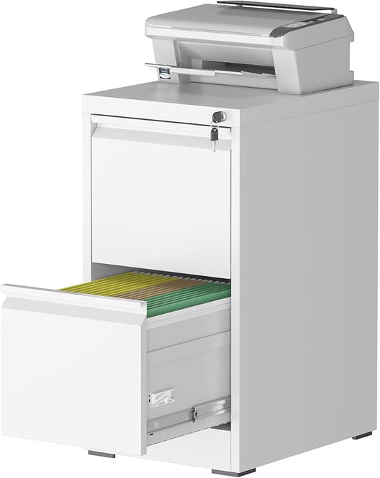 File Cabinet, 2 Drawer File Cabinet with Lock, Steel Vertical Filing Cabinets for Home Office, Heavy Duty File Storage Cabinet for Legal/Letter/A4 Documents, Easy to Assemble, White