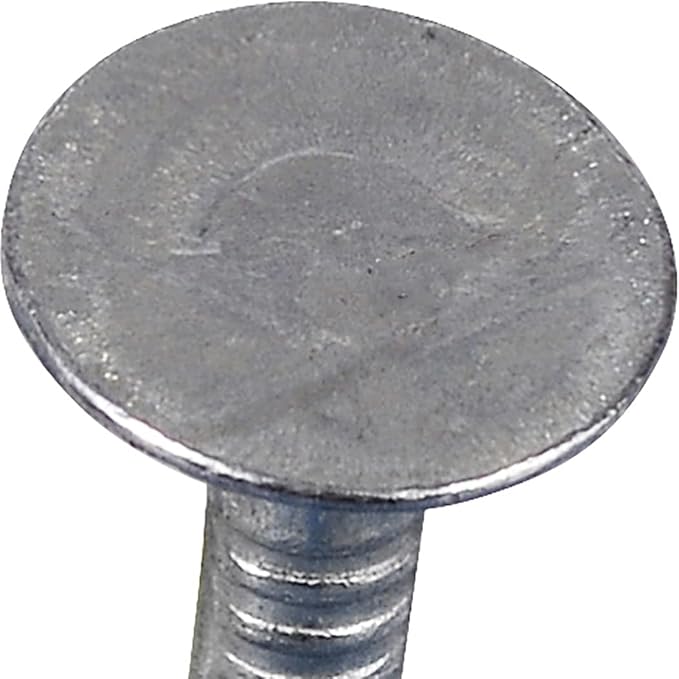 The Hillman Group 42041 Galvanized Roofing Nails, 1-Inch, 100 Count (Pack of 1)
