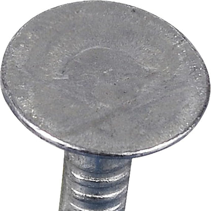 The Hillman Group 42041 Galvanized Roofing Nails, 1-Inch, 100 Count (Pack of 1)