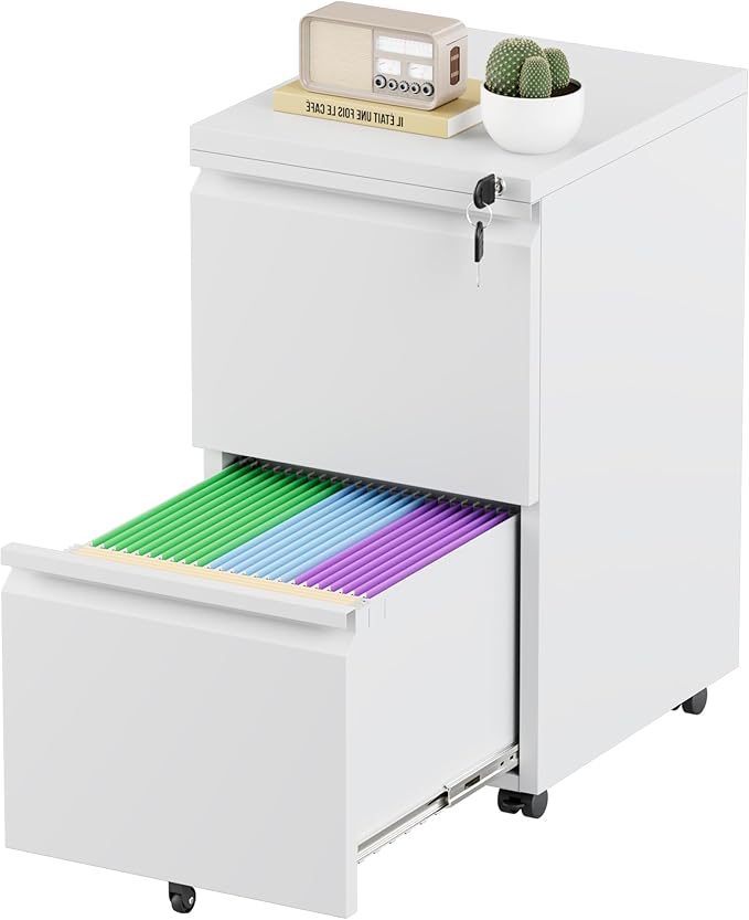 Bonusall 2-Drawer Metal File Cabinet with Lock - Mobile Filing Cabinet for Letter/A4 Size, Under Desk Office Storage Organizer with Wheels, Easy Assembly, High Capacity, White