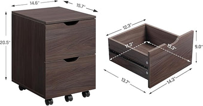 HollyHOME Under Desk Cabinet, Deep 2-Drawer Mobile Wood Cabinet, Storage Drawer for Home, Rolling Shelf for Office, Rolling Printer Stand, for A4, Modern, Dark Brown