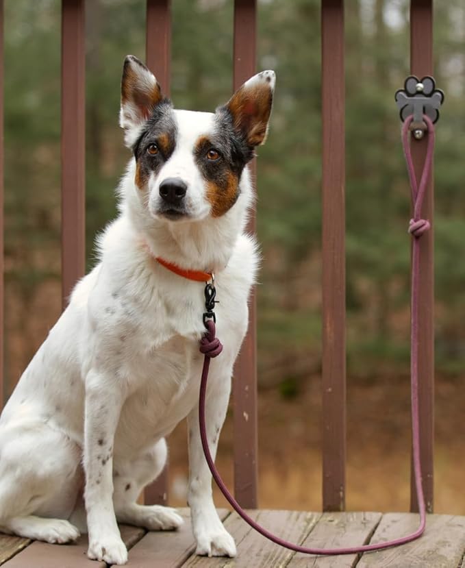 Dog Leash Hitch Parking Hook Medium Duty Wall-Mount Stainless Steel Dog Tie Out - Leash Holder for Wall - Mounting Hardware Kit Included (3” x 4”)