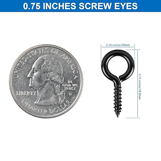 Aovchei Eye Screws, 100PCS 0.75 Inch Long, Black 304 Stainless Steel Screw Hooks, Self Tapping Eye Bolts, Indoor & Outdoor for Hanging Artwork