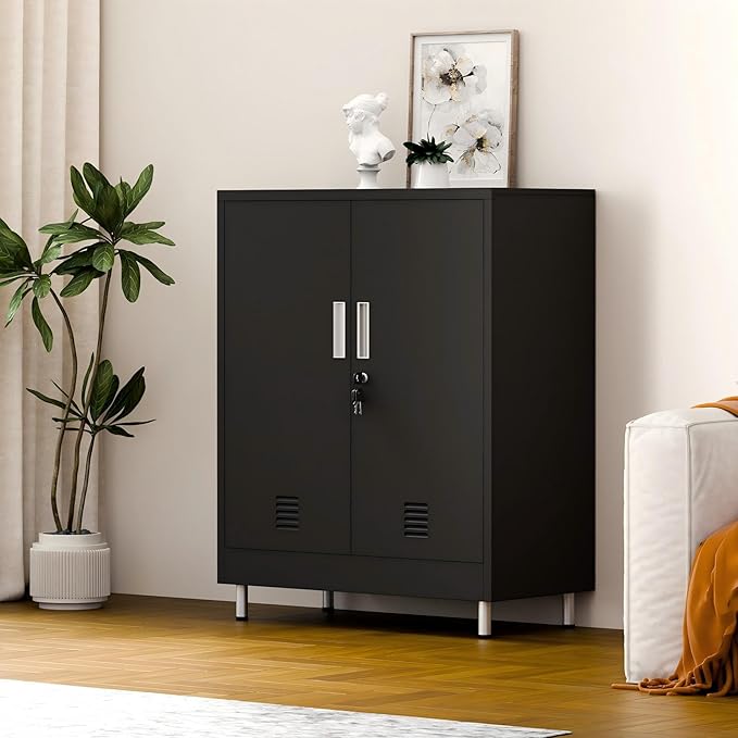 Metal Storage Cabinet with Locking Doors and 2 Adjustable Shelves, Lockable Storage Cabinet for Home Office Garage Pantry Living Room (Black)