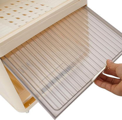 Dish Drying Rack, 2-Tier Plastic Dish Rack for Kitchen Counter with Lid, Kitchen Organizers and Storage Rack with Drainboard and Cutlery Holder for Plates Bowls Cups