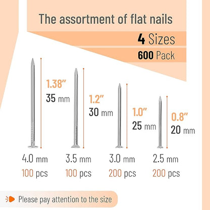 Mr. Pen- Nail Assortment Kit, 600 Pcs, 4 Sizes, Silver, Small Nails for Hanging Pictures, Finishing Nails