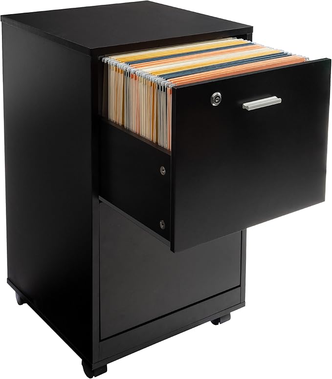 File Cabinet - 2-Drawer Cabinet with Lock and Deep Drawer Storage - Rolling Filing Cabinet for Under The Desk, Home, or Office by Lavish Home (Black)