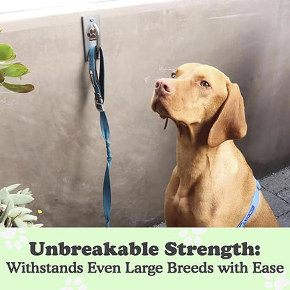 Canine Hitch- Secure Dog Leash Parking Mounted Indoor – Outdoor Wall Hook - Tie Out Stainless Steel Practical Lead Management for Home & Business, Standard Size