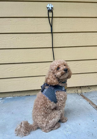 Dog Leash Hitch Parking Hook Medium Duty Wall-Mount Stainless Steel Dog Tie Out - Leash Holder for Wall - Mounting Hardware Kit Included (3” x 4”)