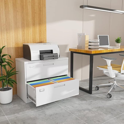 2 Drawer Lateral File Cabinet Metal Filing Storage Cabinet with Lock Office Home Steel File Cabinet for A4 Legal/Letter Size File Cabinet Locked,Assembly Required (2 Drawer, White)