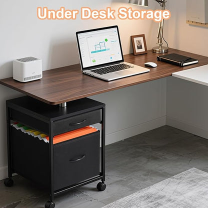 Rolling Mobile File Cabinet Cart with 2 Fabric Drawers A4 Letter Size Beside, Vertical Filing Cabinet on Lockable Wheels, Mobile Printer Stand Storage Under Desk for Home Office(Black)