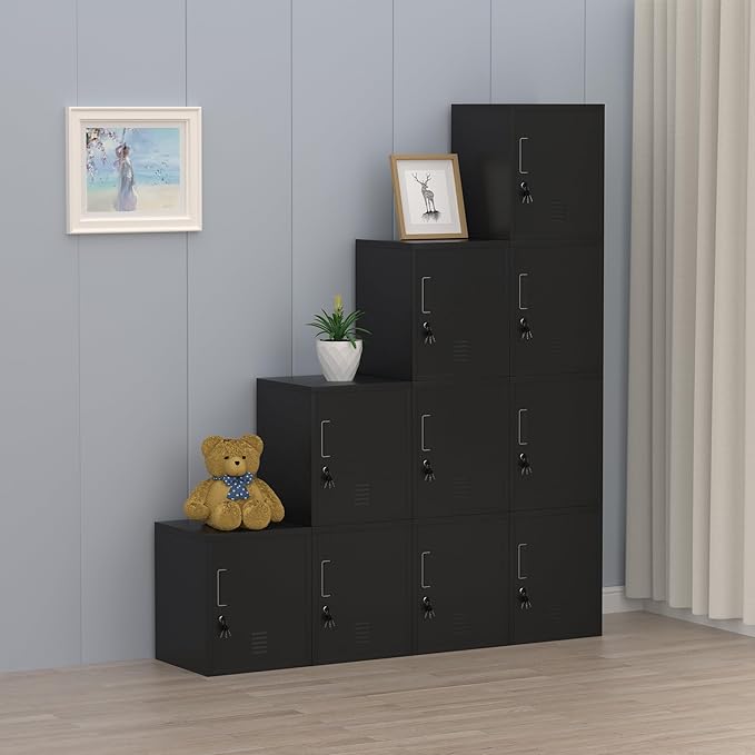 Metal Storage Locker Cabinet with Locking Door and Adjustable Shelf for Home Office Classroom Workshop Organization (Black)