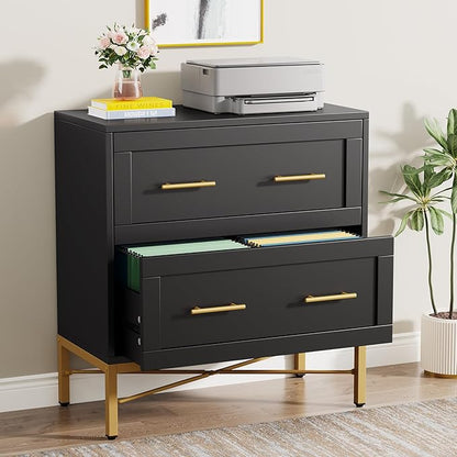 Tribesigns 2 Drawer File Cabinet, Modern Wood Lateral Filing Cabinet for Letter/Legal/A4 Size, Large File Storage Cabinets Printer Stand with Storage for Home Office, Black and Gold
