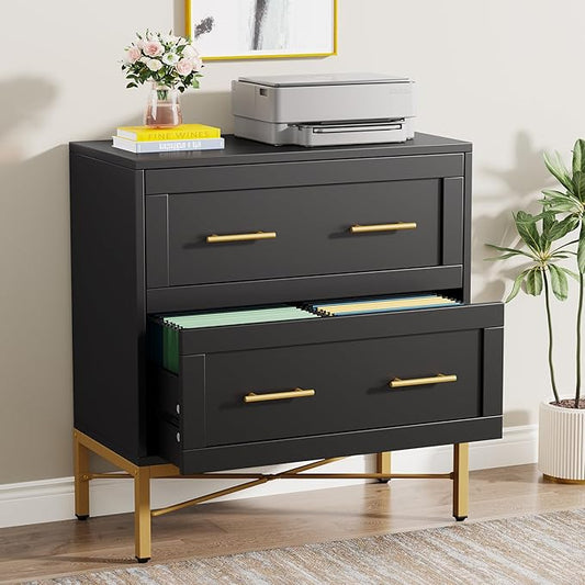 Tribesigns 2 Drawer File Cabinet, Modern Wood Lateral Filing Cabinet for Letter/Legal/A4 Size, Large File Storage Cabinets Printer Stand with Storage for Home Office, Black and Gold