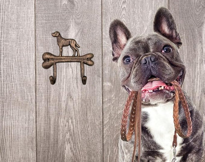 Dog Leash Holder, Cast Iron, Antique Bronze, 2 Hooks, Wall Mount, 6.9x6.9x1.8 inches, AR001