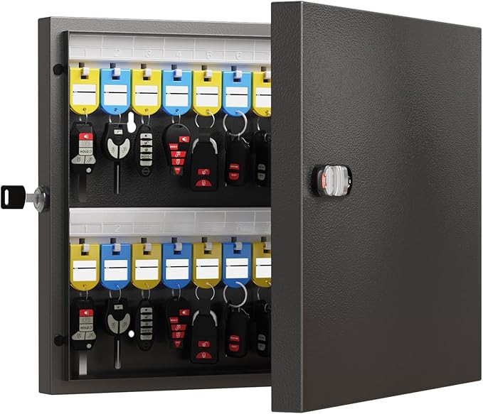 WeHere 48 Key Lock Box, Wall Mounted Key Cabinet with 3-Digit Combination Lock & Backup Key, Key Storage Box for School, Office, Rental, Property Management, Include Key Tags