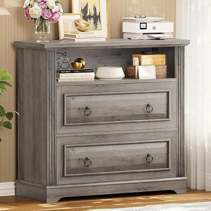 Itaar 2 Drawer File Cabinet, Farmhouse Filing Cabinet for Home Office Fits Letter, Legal, A4 Size, Wood Lateral File Cabinet with Printer Stand, Storage Shelf, Grey