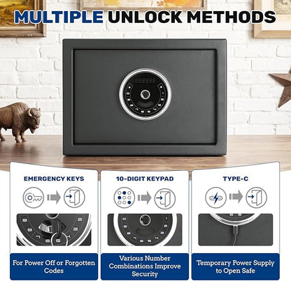 BlackSmith Home Biometric Safe 1.0 Cubic Feet Auto-Open Fingerprint Safe with Backlit Keypad Triple Alarm Security Wall Mount Lock Box for Jewelry & Valuables