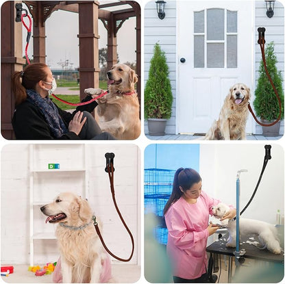 BeneLabel Wall Mounted Dog Leash Holder for Wall Pet Leash Wall Hook Carbon Steel Dog Leash Hangers for Secure Pet Leash for Indoor and Outdoor Use
