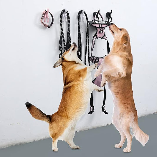 Dog Tail Wall Hooks,5 Pack Plastic Wall-Mounted Coat Hooks,Modern Decorative Hat Hanger Hooks,Cute Butt Hook Holder for Hanging Towels,Bags,Key,Purse,Dog Leash(White)