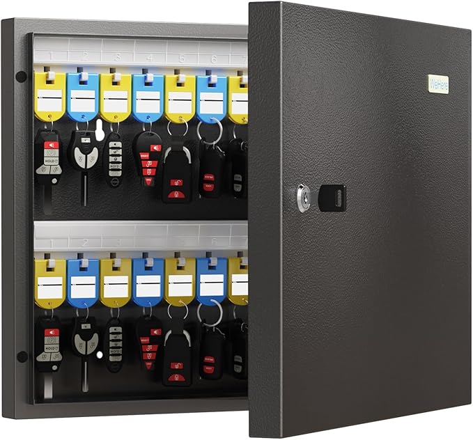 48 Key Lock Box – Wall Mounted Key Cabinet with Magnetic Door & Key Tags, Steel Lockable Key Organizer for School, Office, Hotel, Property Management