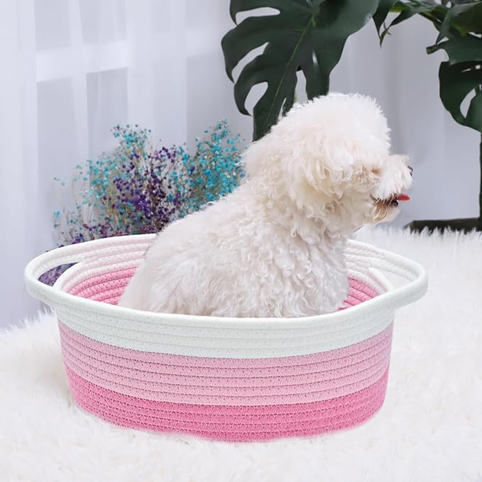 ABenkle Small Basket with Handles - Decorative Durable Rope Woven Storage Bin Shelf Storage Organizer Cube, Easter Baby Gift Basket, 12"x8"x5"